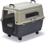 Top 10 Der Besten Tierträger 2026