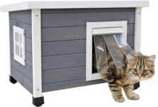 Top 10 Der Besten Katzenhäuser 2026