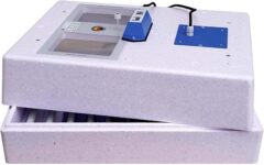 Top 10 der besten Brutkästen 2026