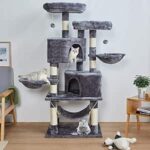 Top 10 Der Besten Kratzbäume 2026