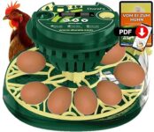 Top 10 der besten Brutkästen 2026