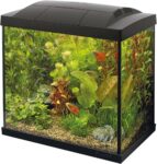 Top 10 Der Besten Aquarien 2026