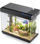 Top 10 Der Besten Aquarien 2026