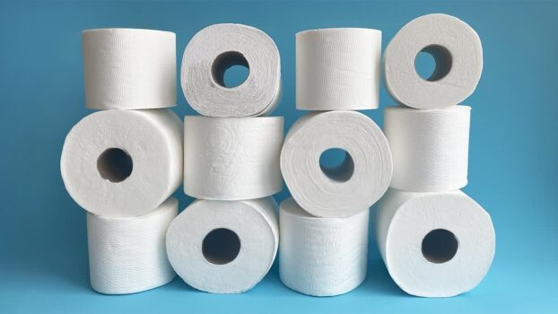 10 Der Besten Toilettenpapier 2025