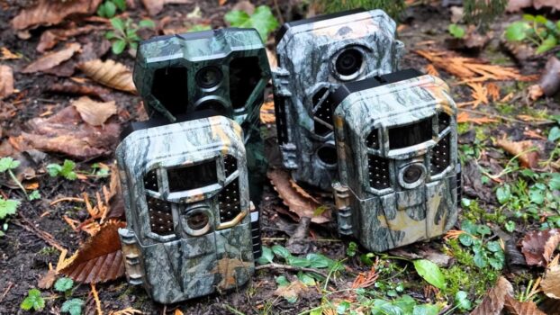 10 Der Besten Wildtierkameras 2026